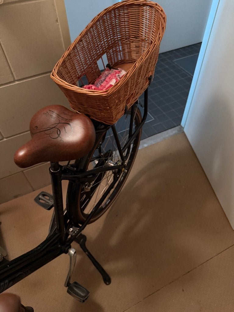 Gazelle stoere damesfiets, Ophalen, Gebruikt, Velgrem, 47 tot 50 cm