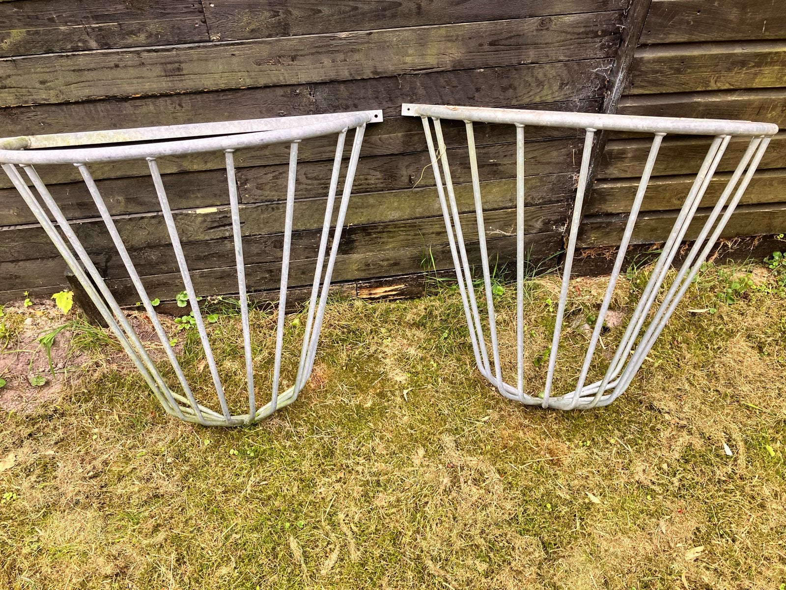 Hooiruiven 2 stuks, €25,00 per stuk, Dieren en Toebehoren, Ophalen
