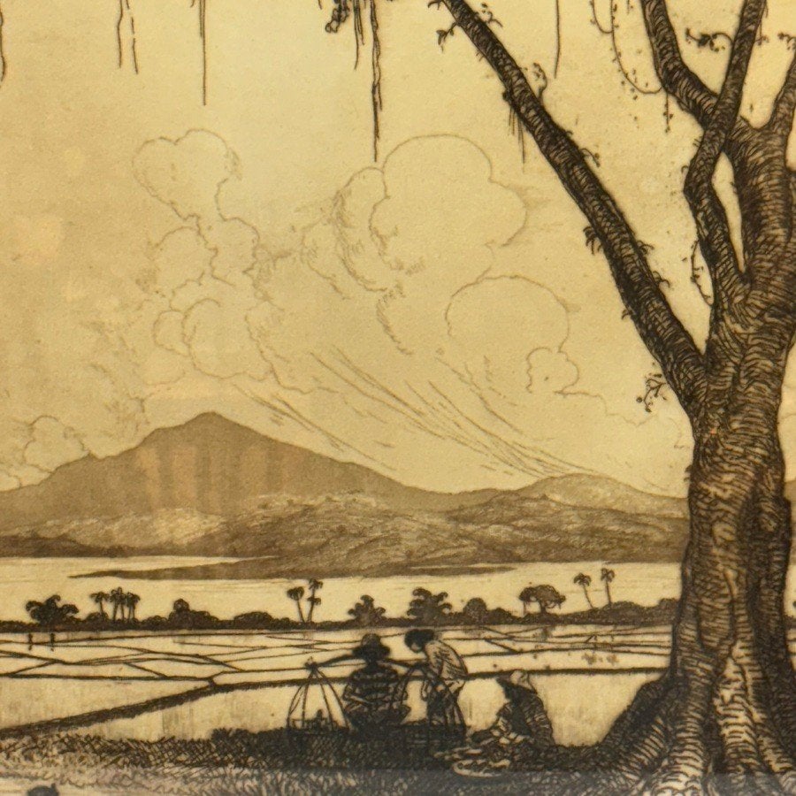 Jan Poortenaar (1886-1958) - Ets, Indonesië, Antiek en Kunst, Ophalen of Verzenden, Flora en Fauna, Ets, Ingelijst