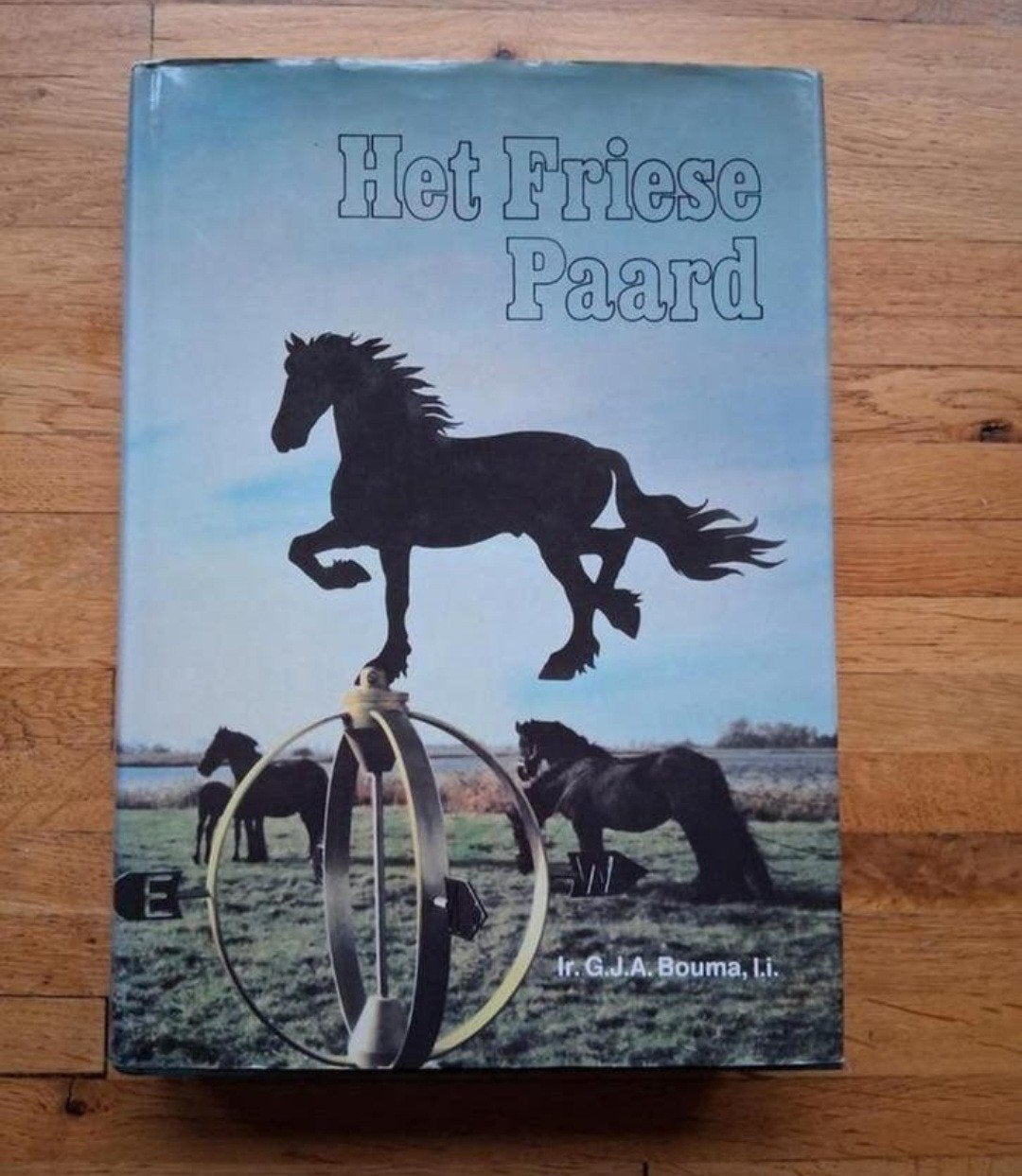 Het friese paard
Geschiedenis in woord en beeld

Fotoboek, Ophalen of Verzenden, Zo goed als nieuw, Paarden of Pony's