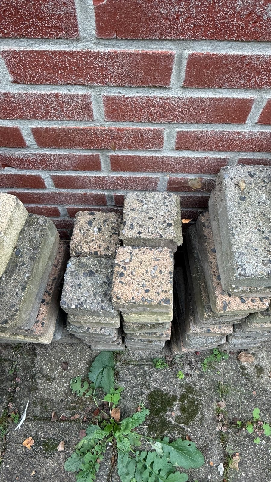 Gratis af te halen: Tuintegels (ca. 9 m²), Ophalen, Gebruikt, 5 tot 10 m², Beton