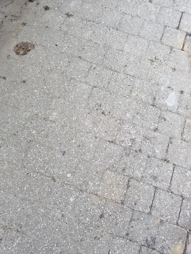 Gratis Tuin tegels 30x30 en 14x14, Ophalen, Gebruikt, 10 m² of meer, Beton