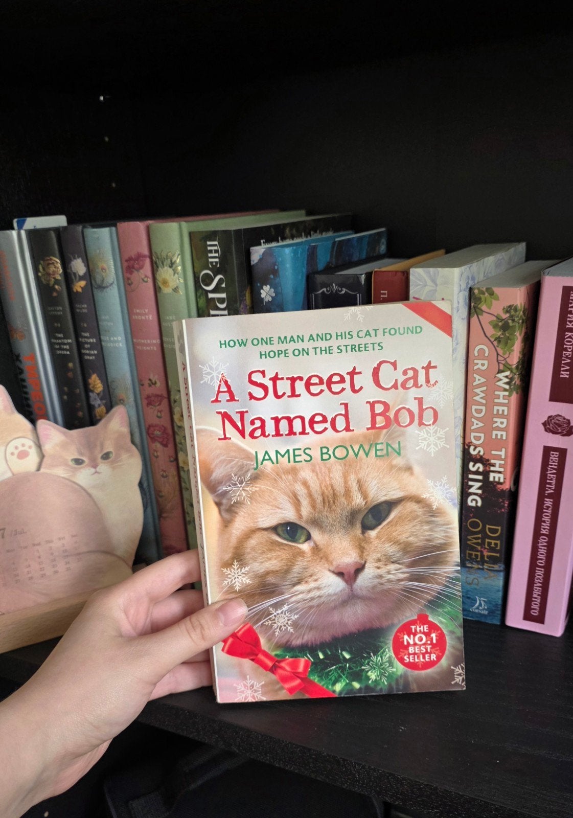 A Street Cat Named Bob Book, Ophalen of Verzenden, Gelezen, James Bowen