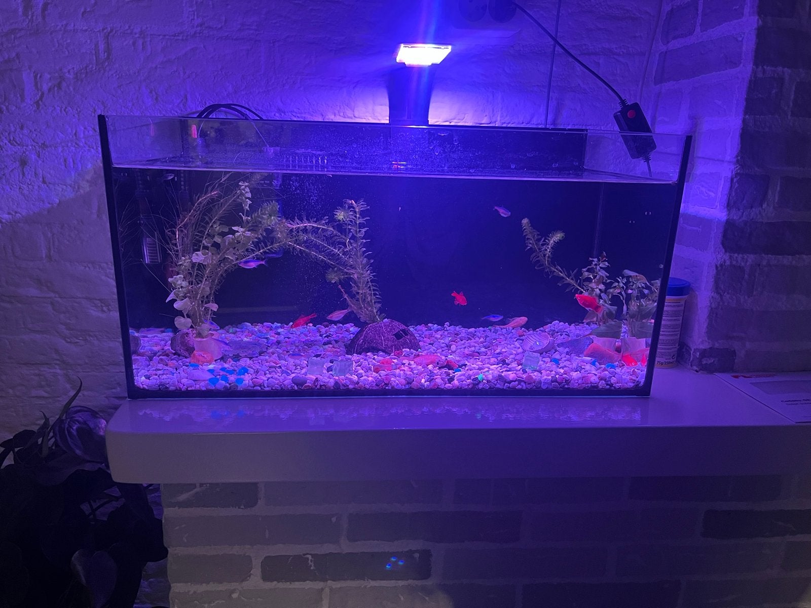 Aquaruim met alle benodigde toebehoren en 16 visjes, Dieren en Toebehoren, Vissen | Aquaria en Toebehoren, Ophalen of Verzenden