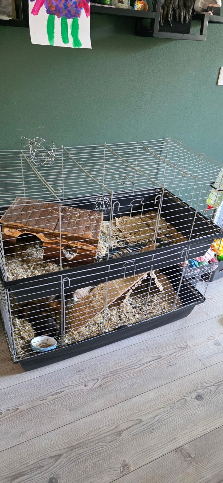 Mooi hok met 2 cavia s, Ophalen, Gebruikt, 60 tot 90 cm, Hok