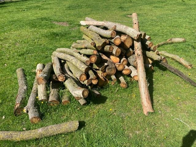 stookhout eiken, Tuin en Terras, Haardhout, 3 tot 6 m³, Ophalen of Verzenden, Eikenhout, Stammen