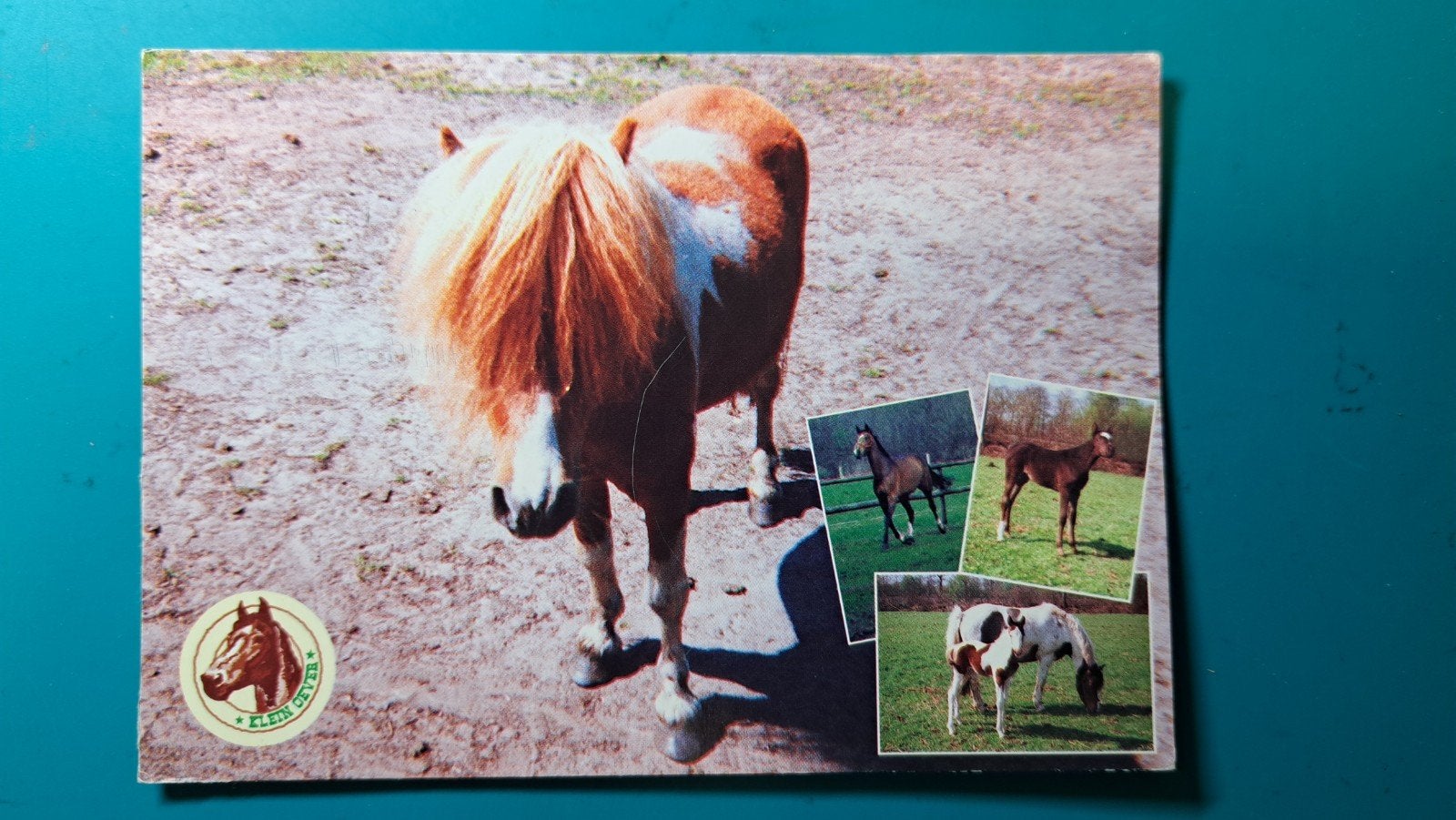 Balkbrug ponykamp Klein Oever , paard pony, Ophalen of Verzenden, 1980 tot heden, Gelopen, Overijssel