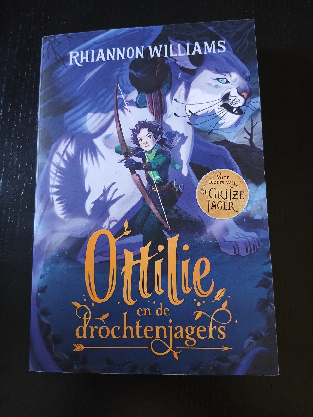 Ottilie en de Drochtenjagers - Rhiannon Williams, Ophalen of Verzenden, Zo goed als nieuw, Rhiannon Williams, Fictie