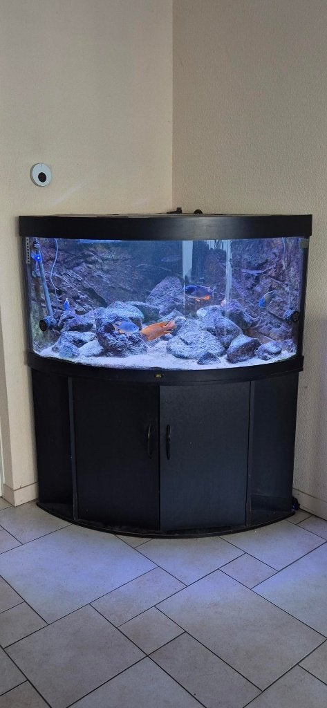 Juwel Aquarium Trigon 350 + pomp en UV lamp, Ophalen, Gebruikt, Pomp, Leeg aquarium