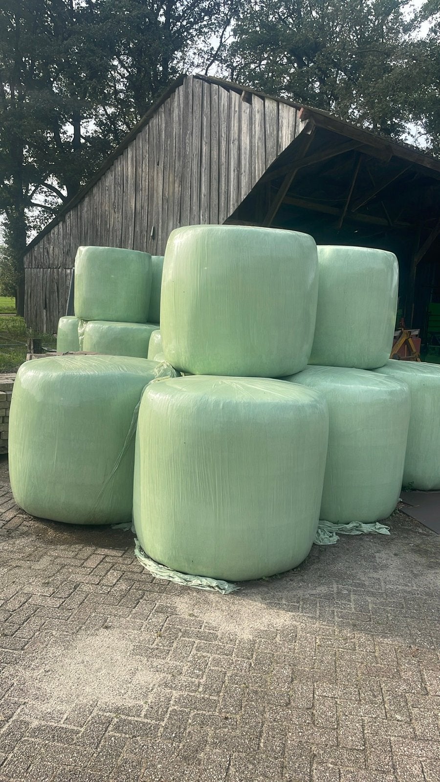 Grote balen hooi voor paarden of schapen, Dieren en Toebehoren, Ophalen of Verzenden