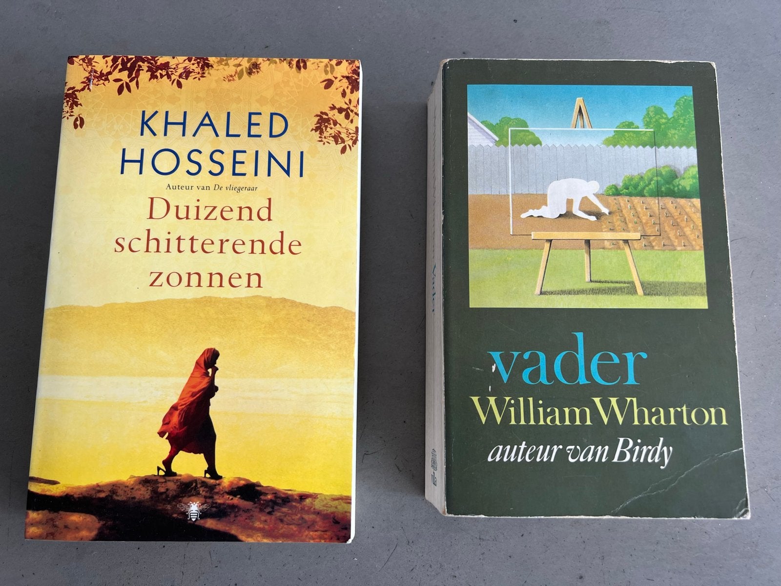 Boekenpakket: Khaled Hosseini, Jonathan Franzen, Lucinda Ril, Boeken, Ophalen of Verzenden, Gelezen