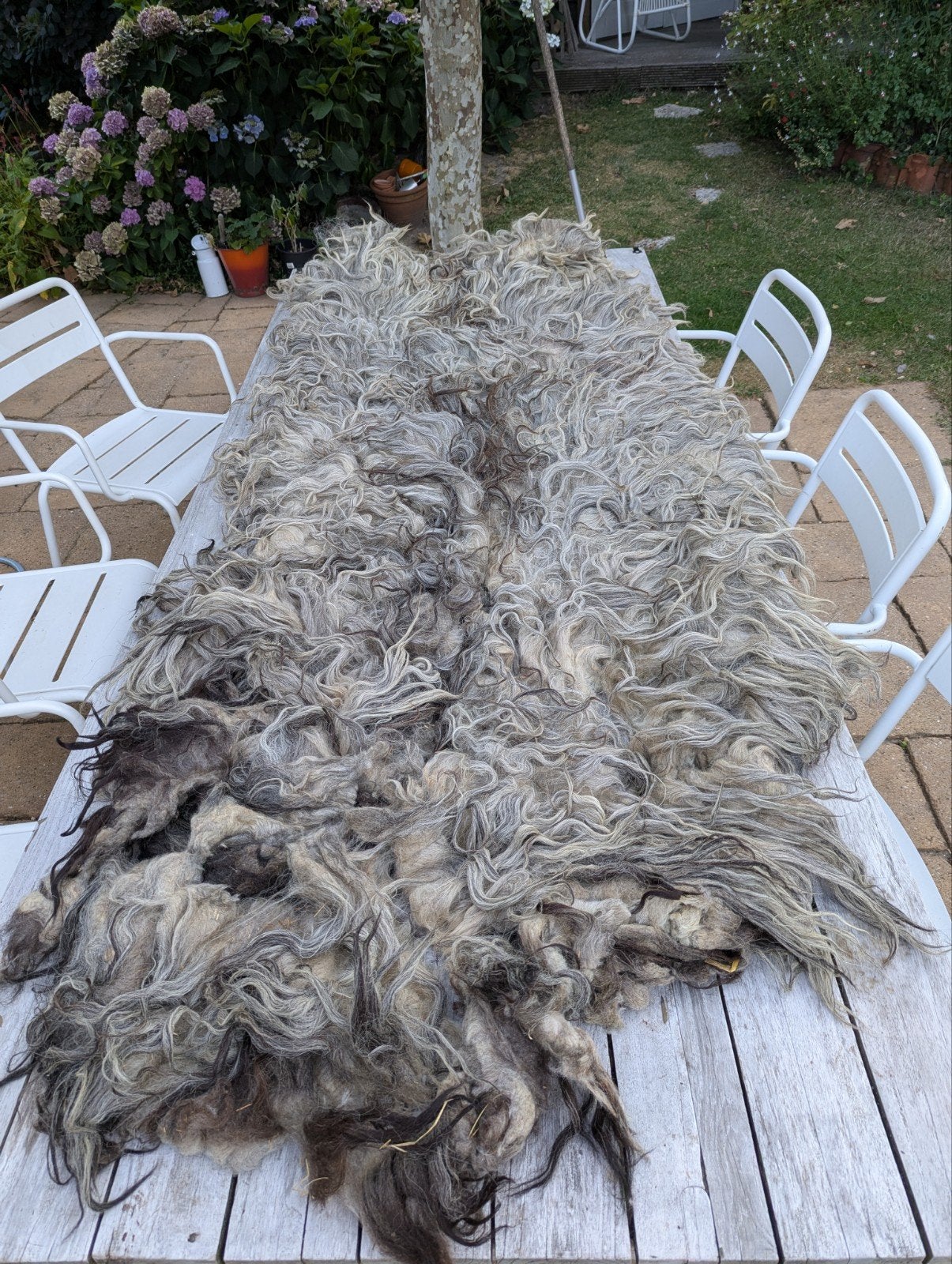 Prachtige ruwe wol, vacht van Heidschnucke schaap, Ophalen of Verzenden