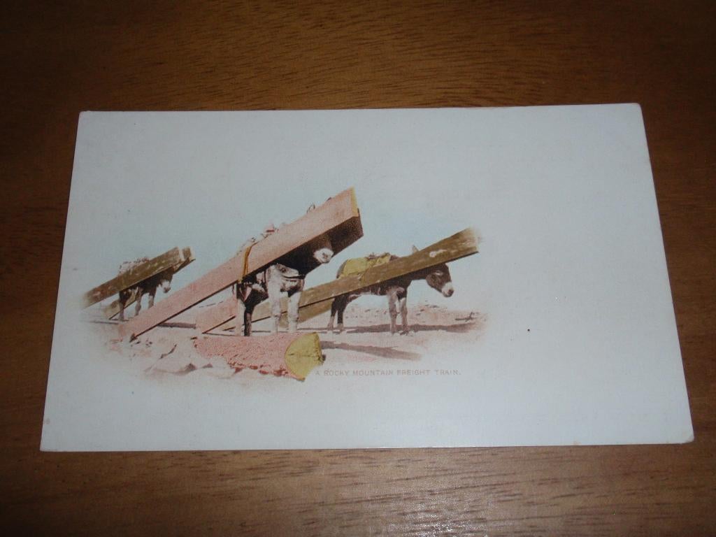 Ezel Vervoer Pakezel Illustrator ? Rocky Mountain, Verzenden, 1940 tot 1960, Ongelopen, Overige soorten