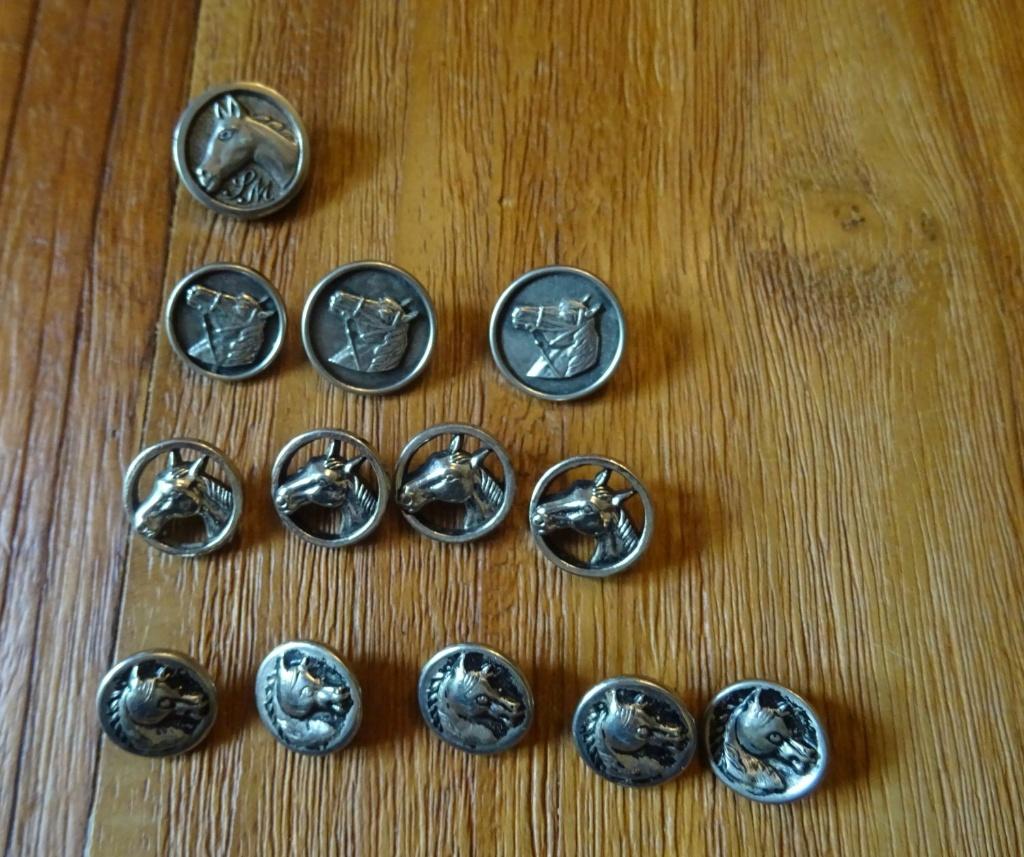 Verschillende knopen met paarden., Hobby en Vrije tijd, Naaien en Fournituren, Ophalen of Verzenden, Gebruikt, Knoop of Knopen