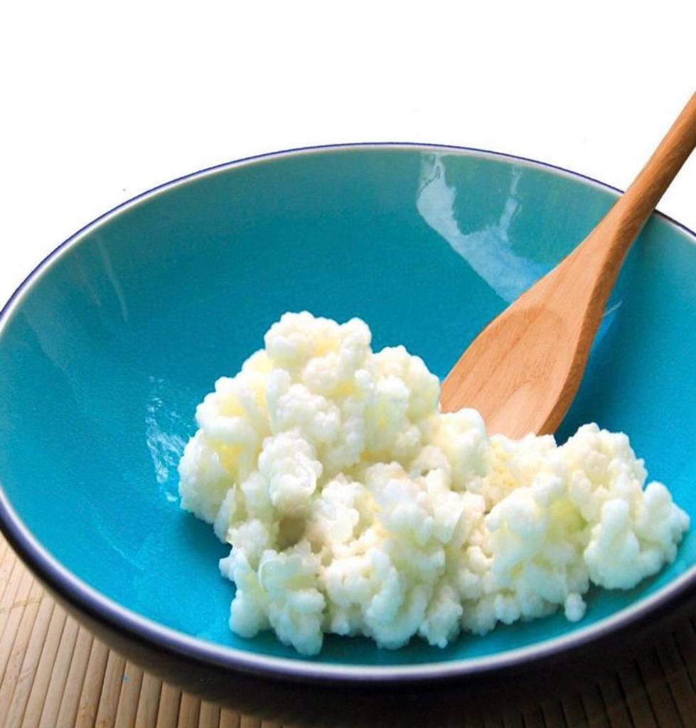 Melkkefirkorrels 50gr melkkefir BIO - verzending mogelijk!, Diversen, Levensmiddelen, Ophalen of Verzenden
