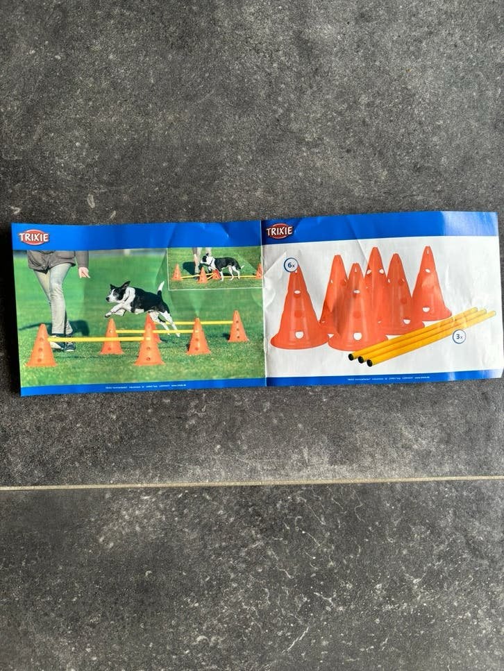 Honden agility/ training kleine hond met hoepel, Ophalen of Verzenden, Zo goed als nieuw, Behendigheidspeelgoed