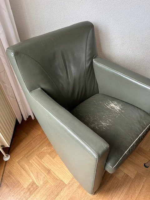 Leolux, Ophalen, Gebruikt, Leer