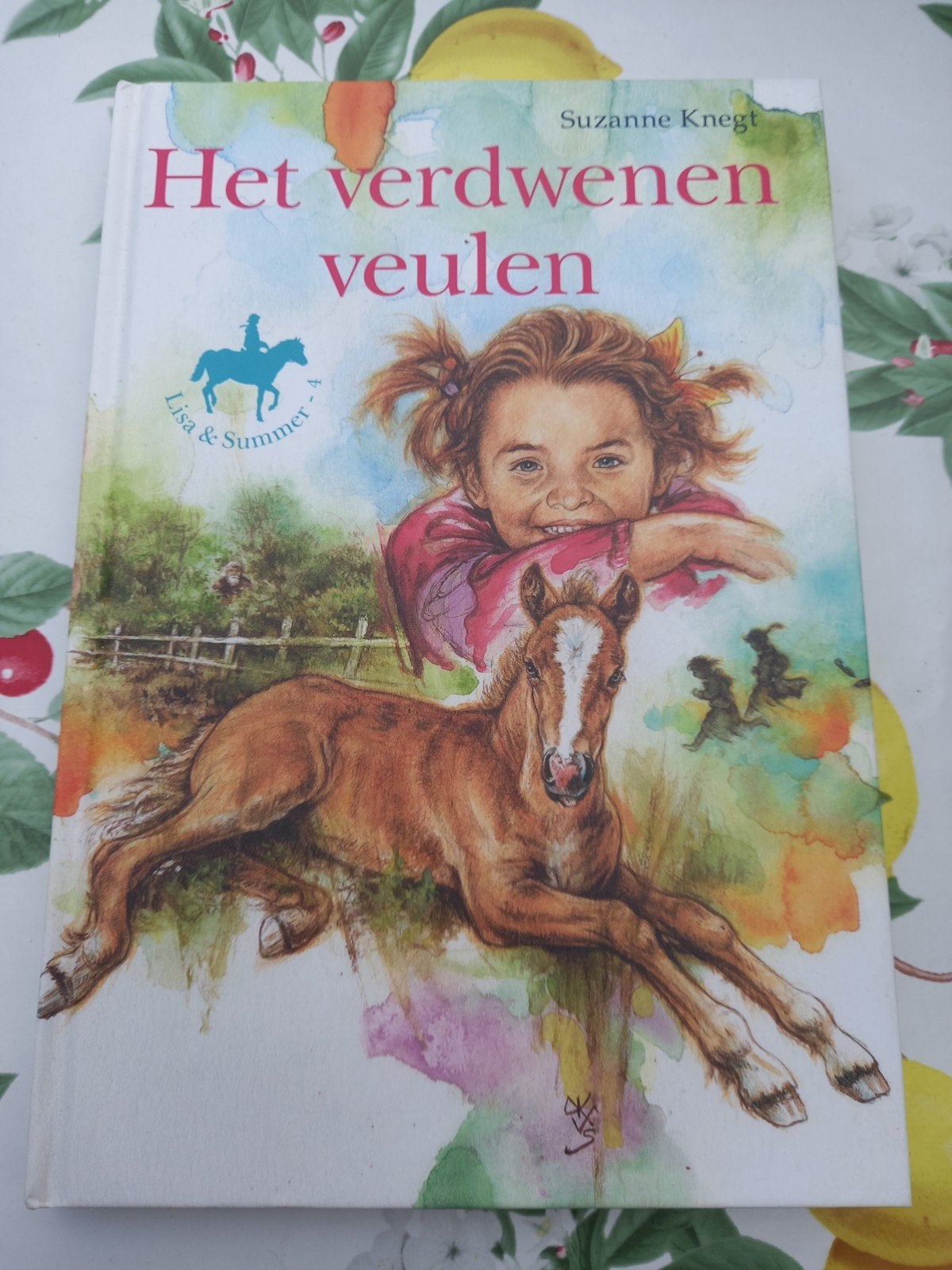 Suzanne Knegt - Het verdwenen veulen m3, Boeken, Suzanne Knegt, Fictie algemeen, Ophalen of Verzenden, Zo goed als nieuw