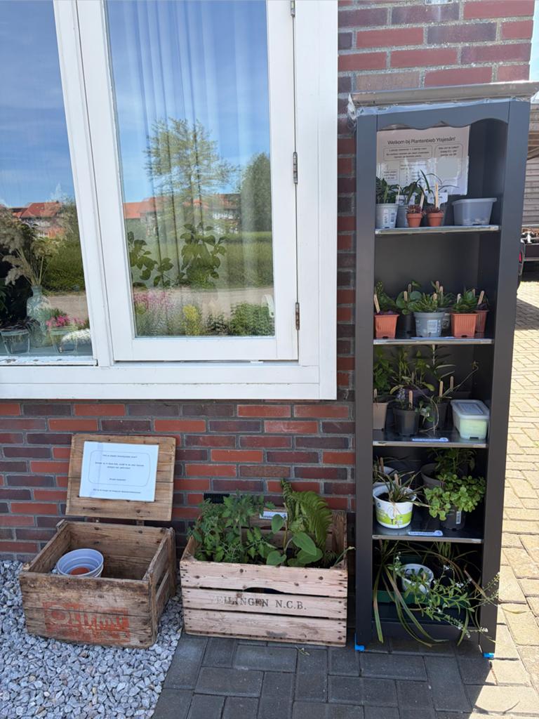Plantenbibliotheek - stekjesbibliotheek, Ophalen, Eenjarig, Bodembedekkers, Halfschaduw