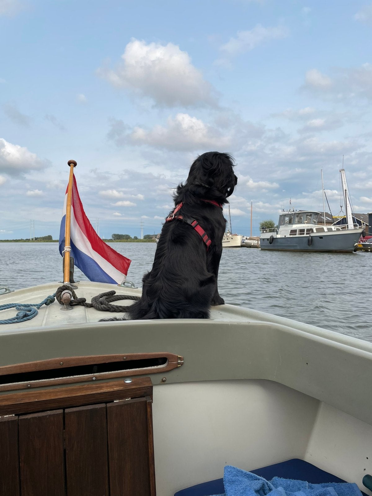 Saga 20 met 12 pk diesel