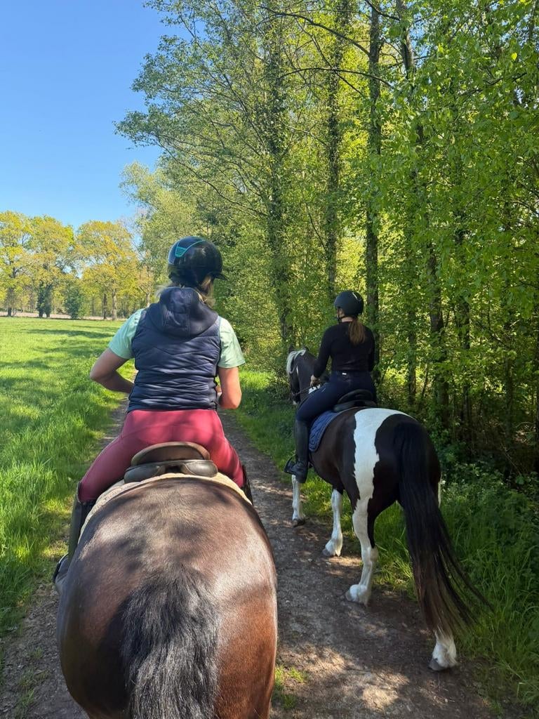 Buitenrit paardrijden bosrit