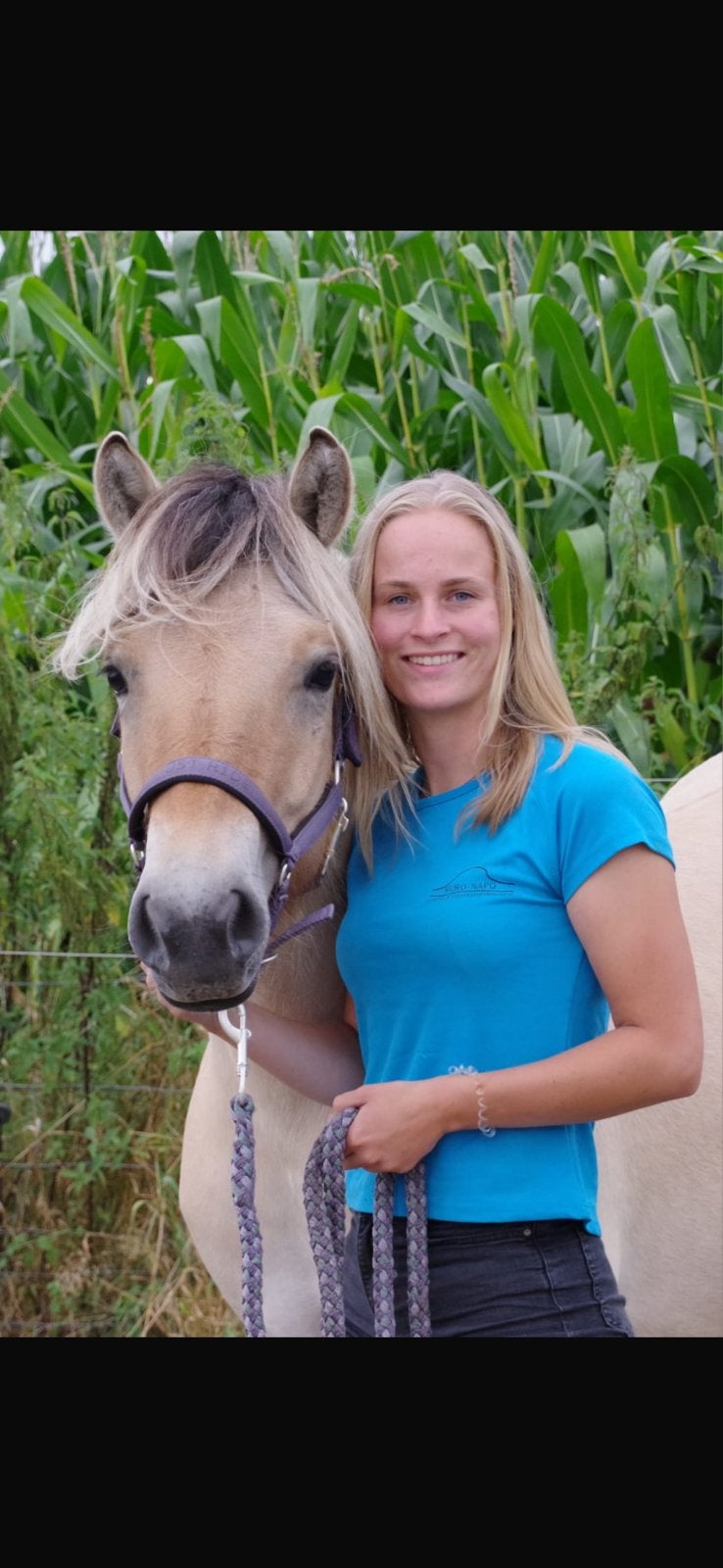 Massage voor jouw paard/pony, Ophalen of Verzenden