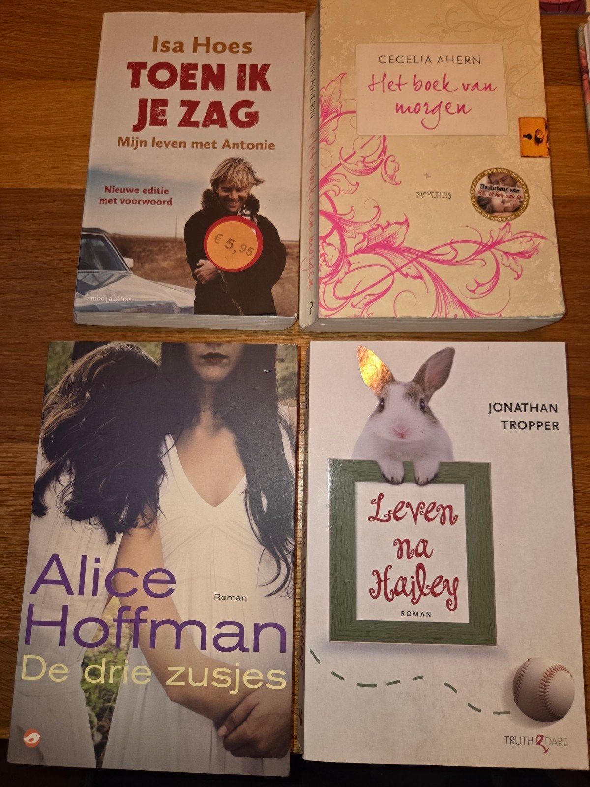 Diverse romans: Isa Hoes, Cecelia Ahern, Alice Hoffman, Ophalen, Gelezen, Isa Hoes, Cecelia Ahern, Alice Hoffman, Jonathan Tropper