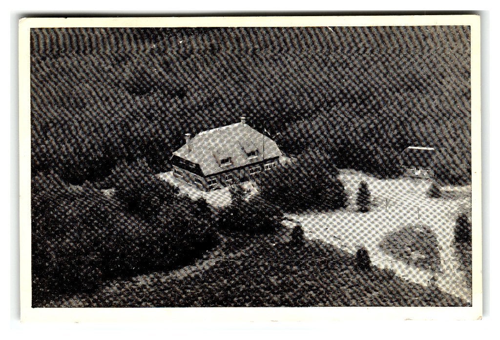 Bennekom, Kampeer- en Bungalowbedrijf "De Dikkenberg", Verzenden, 1940 tot 1960, Gelopen, Gelderland