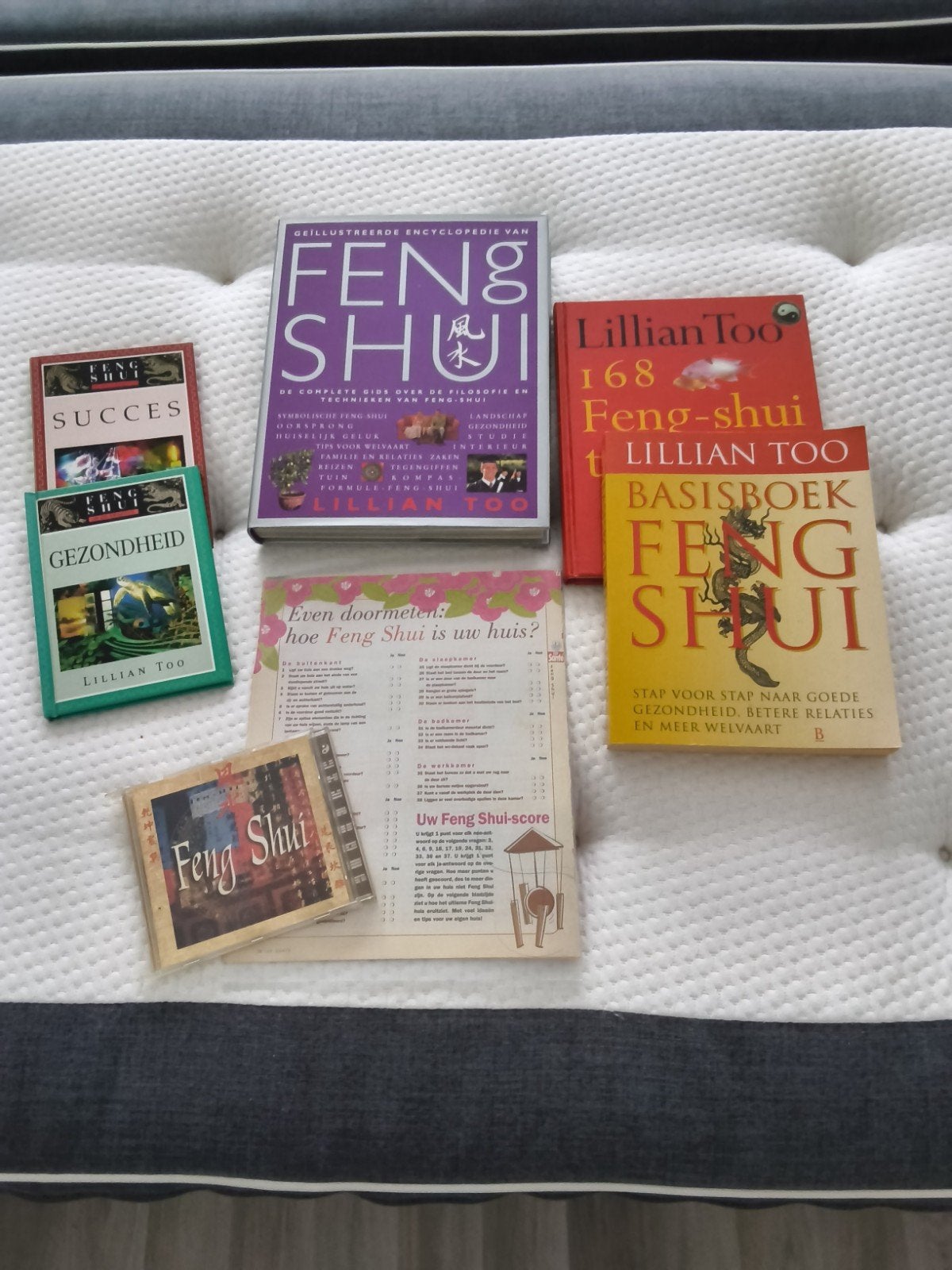 Feng Shui Boeken & CD - Lillian Too Collectie, Boeken, Gelezen, Achtergrond en Informatie, Verzenden, Lillian Too