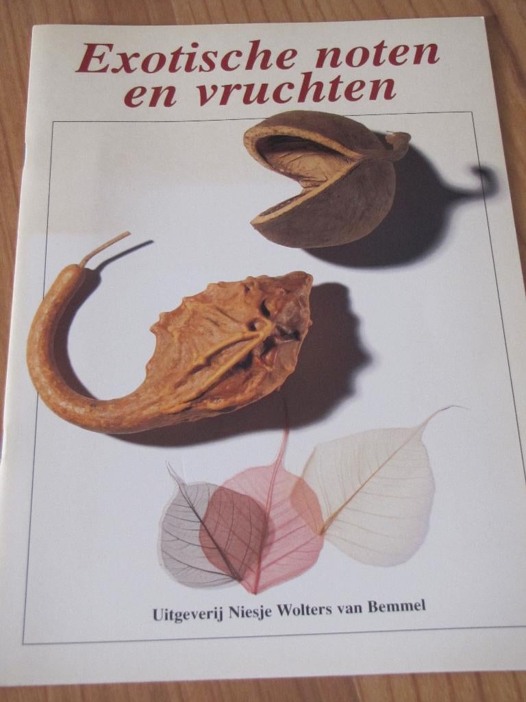 Exotische noten en vruchten, Ophalen of Verzenden, Nieuw, Kleien en Boetseren, Geschikt voor kinderen