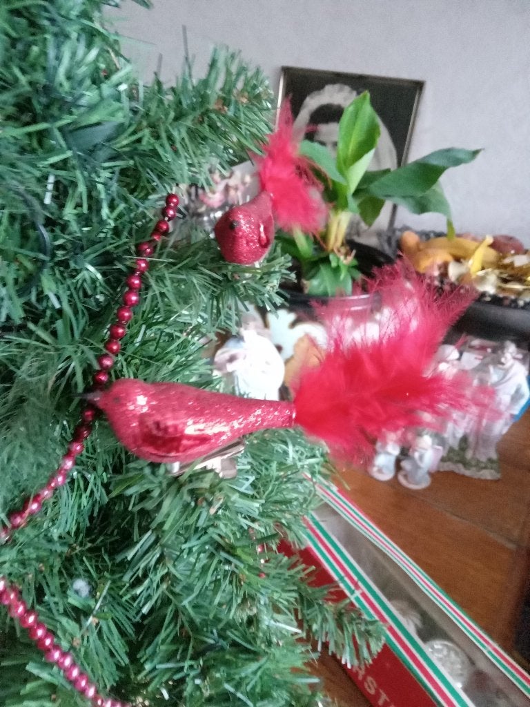 niet zo oude glazen kerstballen model rode vogels verenstaar, Ophalen of Verzenden, Gebruikt
