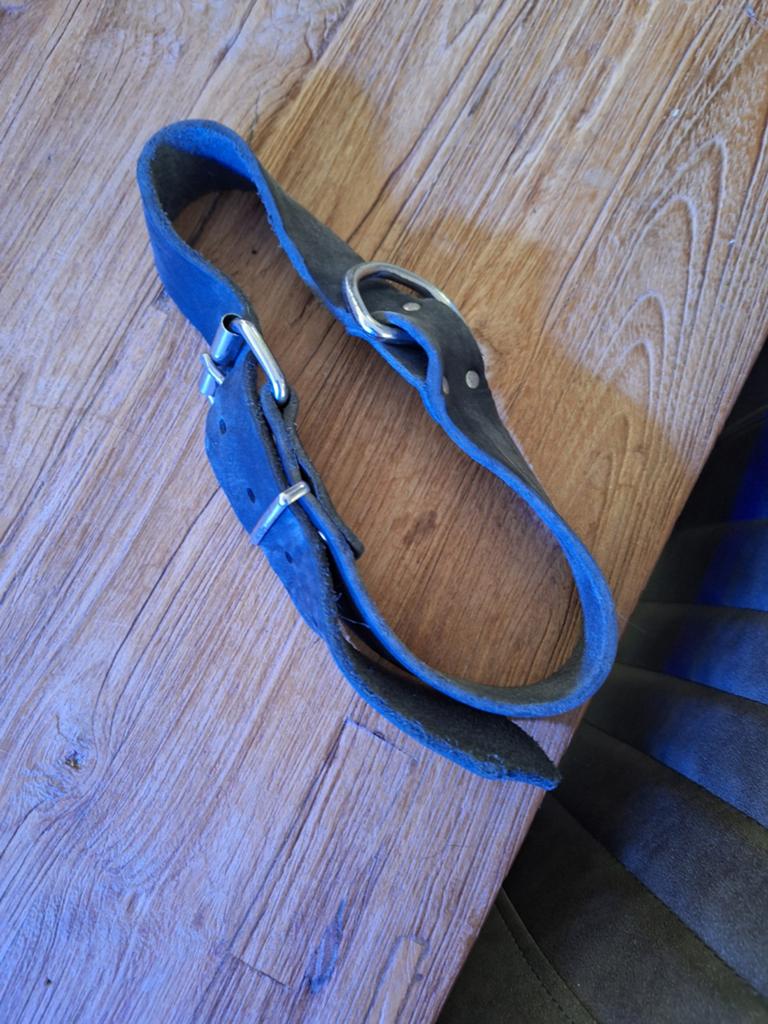 Leren halsband voor grote hond .jonge sintbernard ., Ophalen