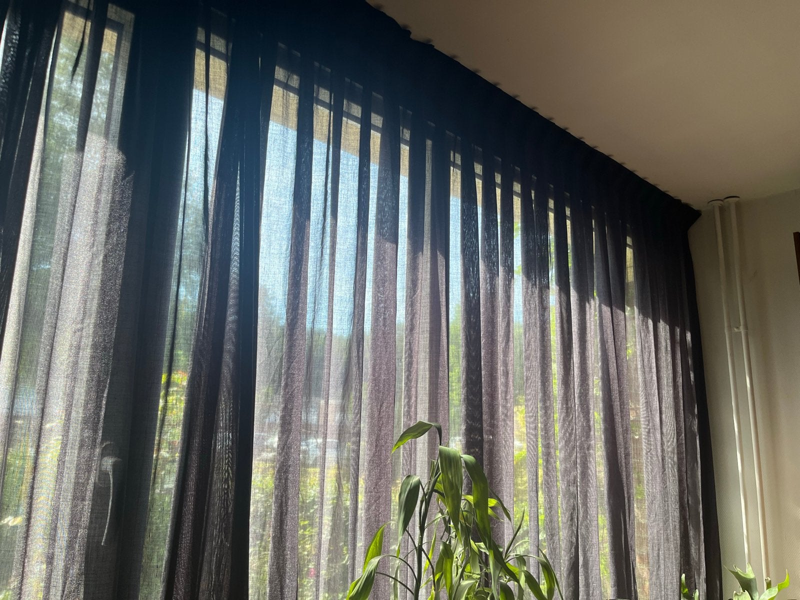 Zwarte vitrages / inbetweens, Vitrage, Gebruikt, 500 cm, Zwart