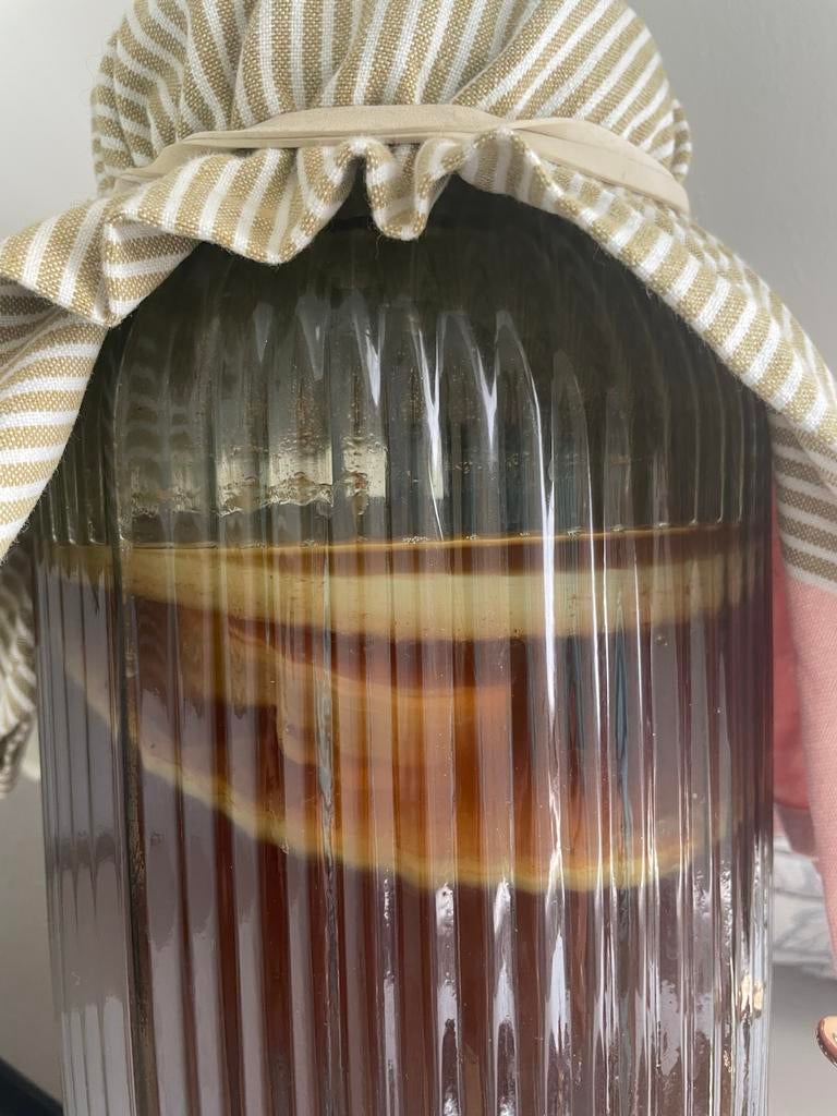 Kombucha scoby, Ophalen, Nieuw, Overige typen