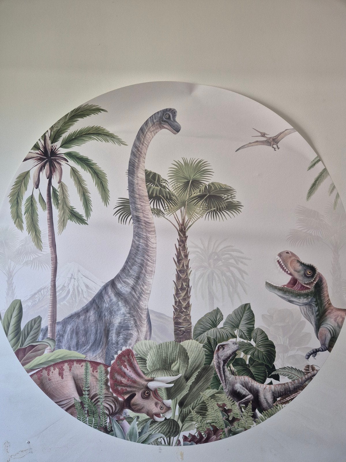 Behangcirkel dino, Ophalen of Verzenden