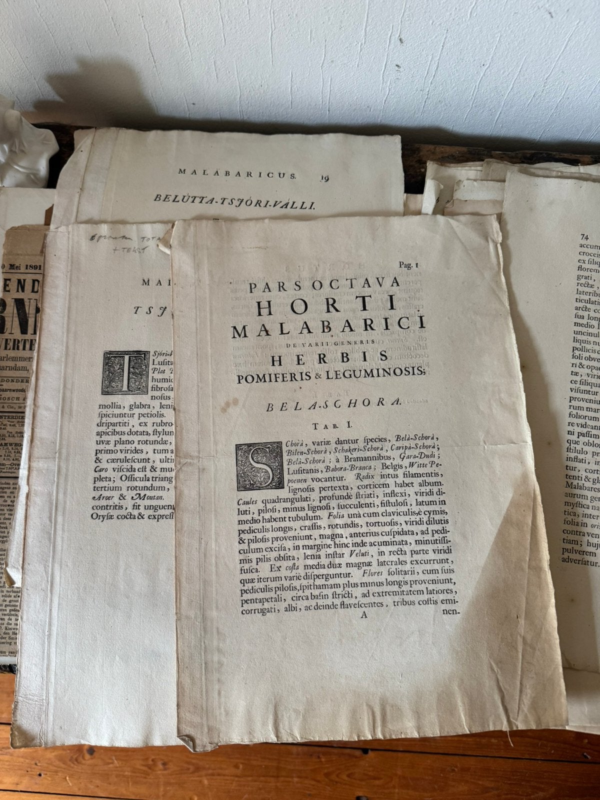 Kranten en haagsche publicaties van 1700 en 1800, Ophalen of Verzenden, Voor 1920, Nederland, Krant