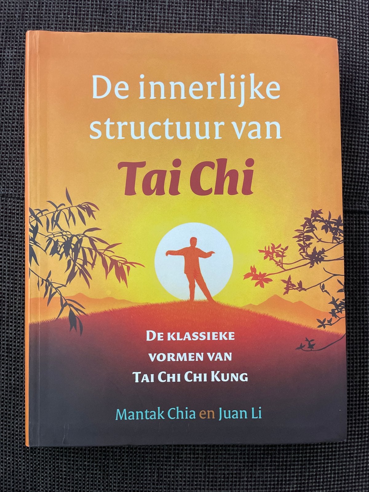 De innerlijke structuur van Tai Chi - Mantak Chia, Boeken, Ophalen of Verzenden, Zo goed als nieuw, Meditatie of Yoga, Instructieboek