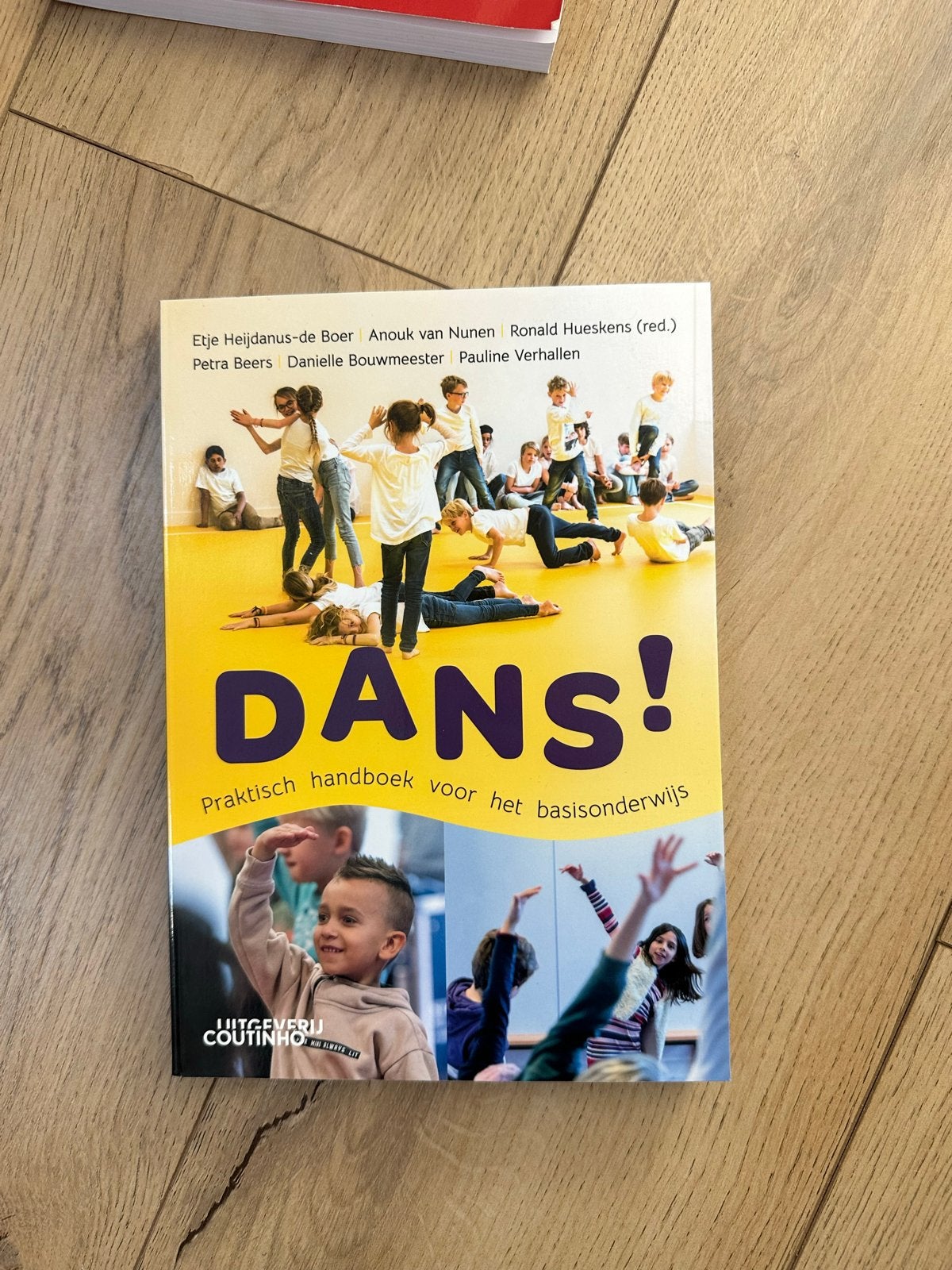 DANS! Praktisch handboek voor het basisonderwijs, Ophalen of Verzenden, Zo goed als nieuw, HBO