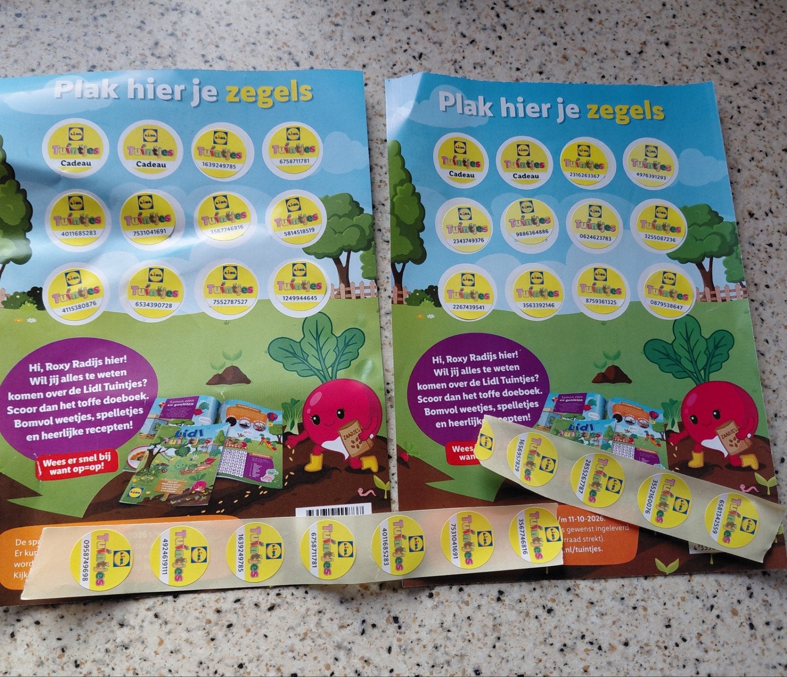 3 volle spaarkaarten Lidl Tuintjes zegels, Ophalen of Verzenden, Gebruikt, Overige typen