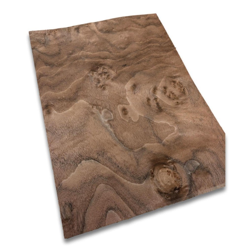 Walnoot wortelfineer | 35x25 cm, -, Verzenden, -, Nieuw