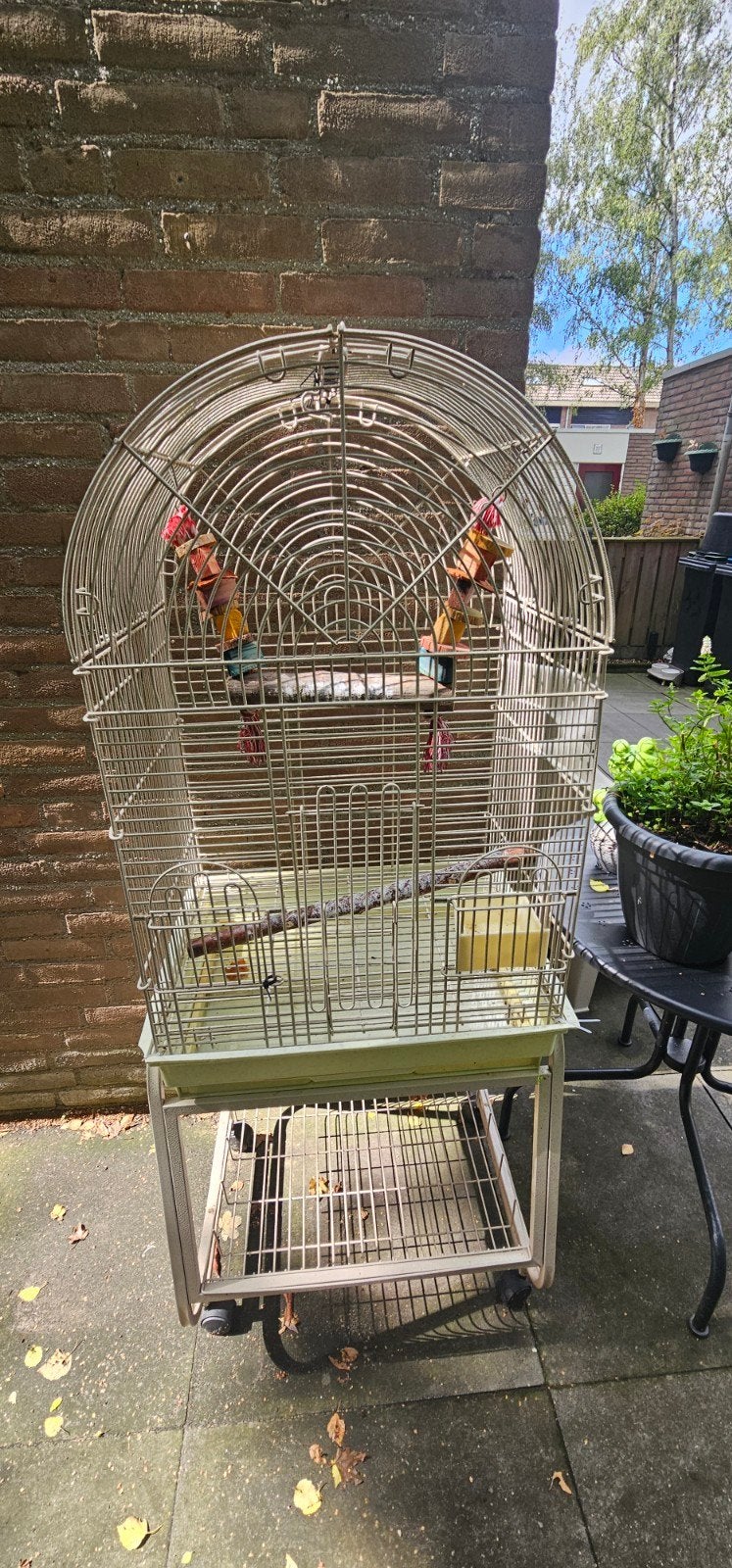 Grote vogelkooi, Dieren en Toebehoren, Vogels | Hokken en Kooien, Ophalen of Verzenden, Metaal, Vogelkooi