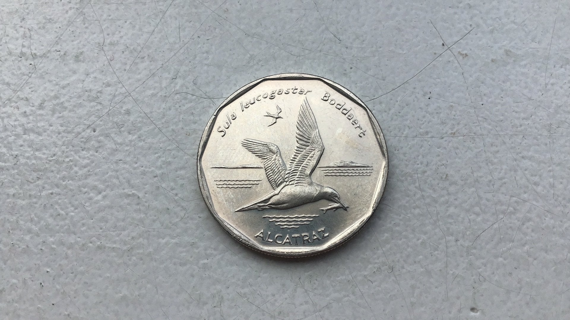 Kaapverdie 20 escudos 1994 vogel., Ophalen of Verzenden