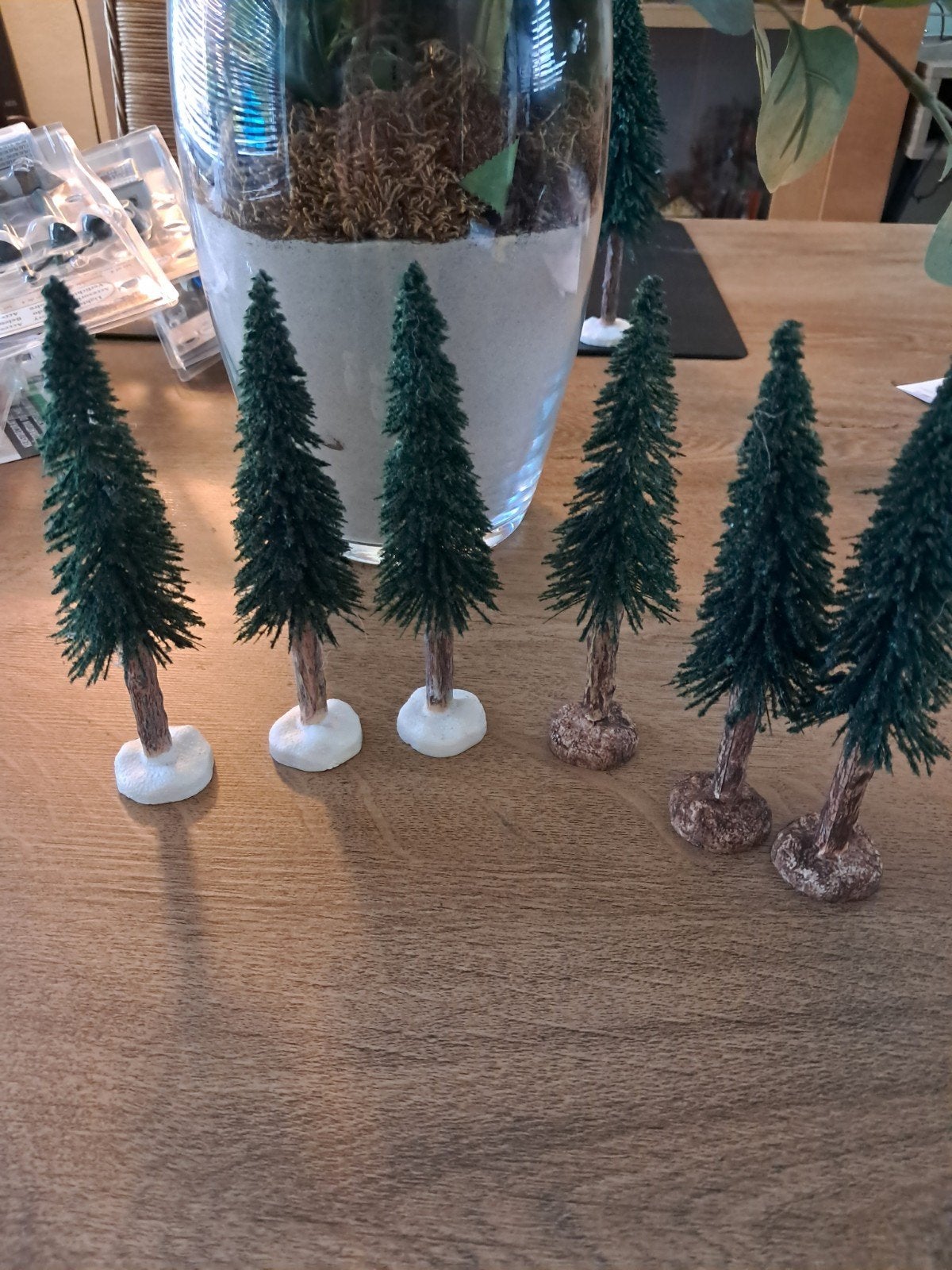 intratuin 6 dennenbomen, Diversen, Ophalen