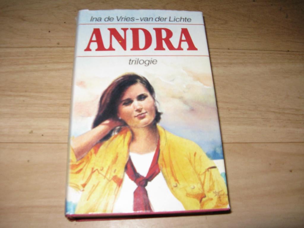 Ina de Vries - van der Lichte - Andra, Ophalen of Verzenden, Gelezen