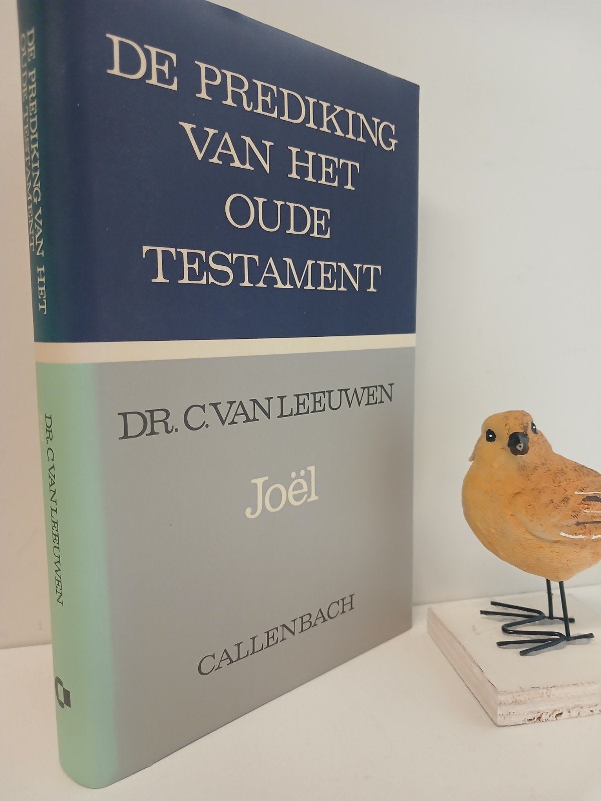 Leeuwen, Dr. C. van; Joël  POT, Boeken, Ophalen of Verzenden, Gelezen, Christendom | Protestants