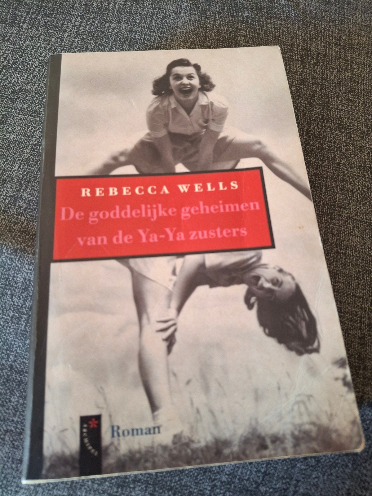 De goddelijke geheimen van de Ya-Ya zusters - Rebecca Wells, Boeken, Ophalen of Verzenden, Gelezen, Rebecca Wells, Nederland