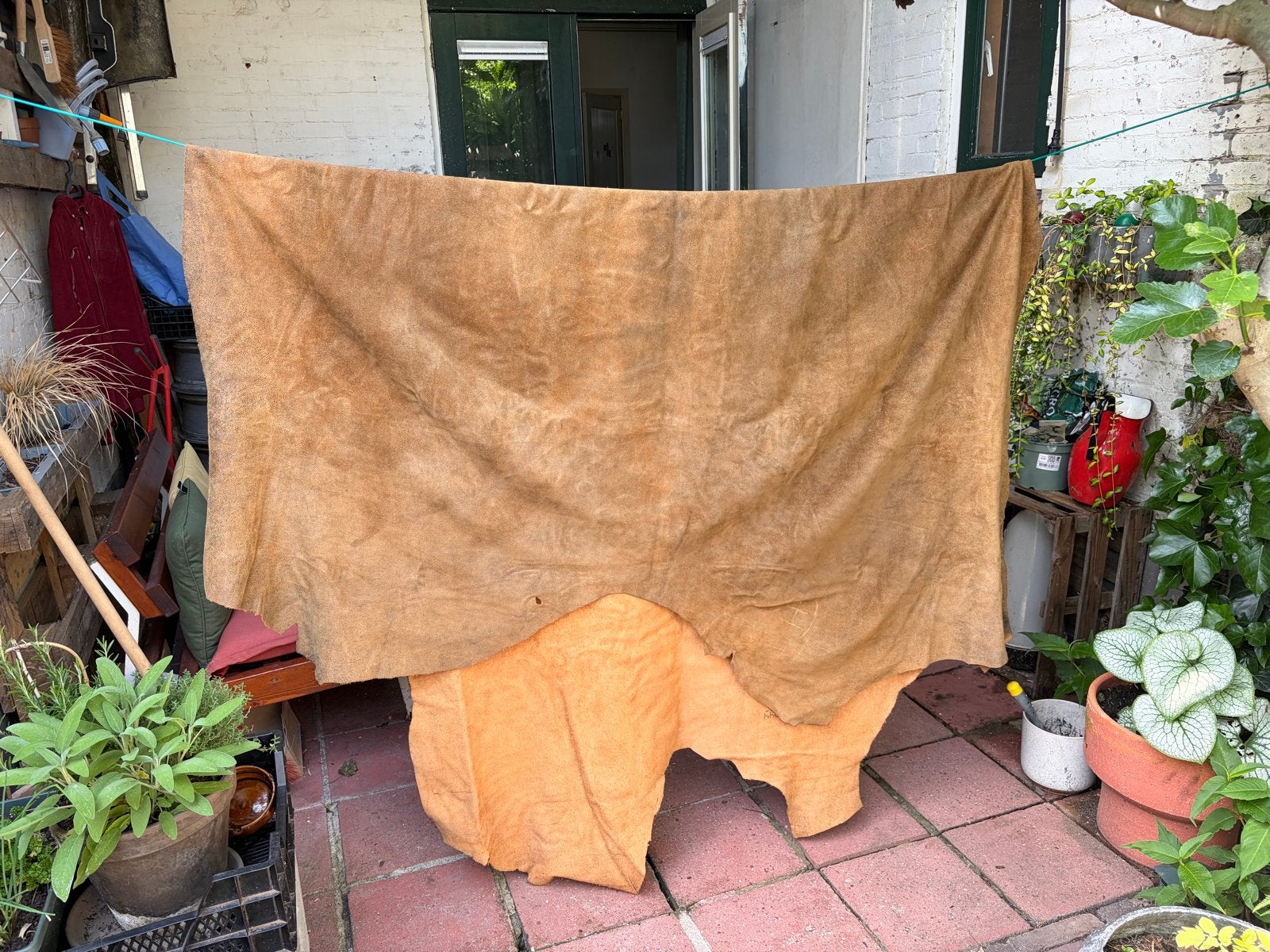 Prachtig soepel leren vel koeienhuid, Ophalen, 150 tot 200 cm, Zo goed als nieuw, Overige vormen