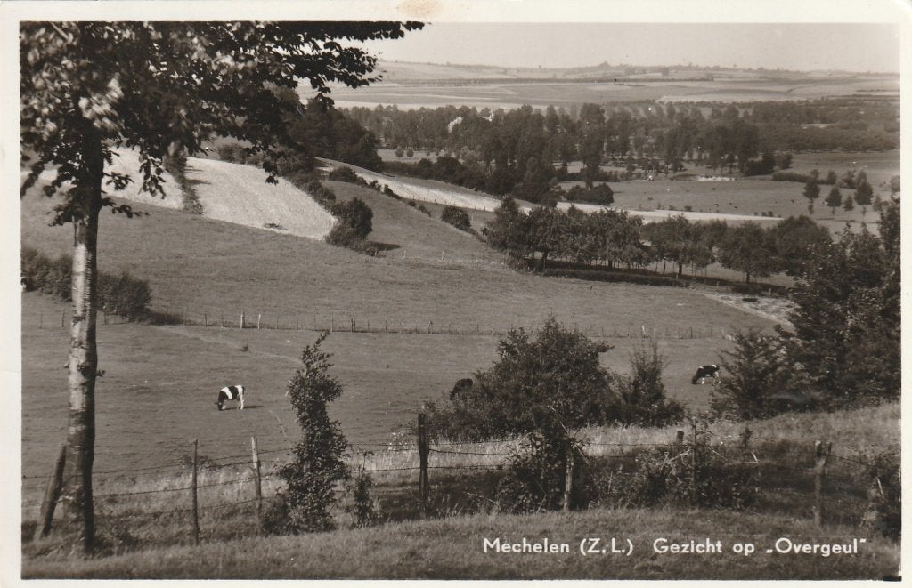 MECHELEN Gezicht op Overgeul, Verzamelen, Verzenden, 1920 tot 1940, Gelopen, Limburg