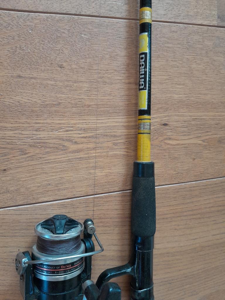 werphengel Daiwa, Watersport en Boten, Ophalen of Verzenden, Gebruikt, Werphengel