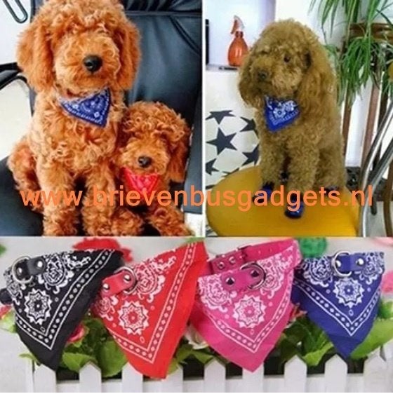 Halsband Halsdoek Bandana Hond Kat Huisdier, Nieuw, Www.brievenbusgadgets.nl, Www.brievenbusgadgets.nl, Halsband